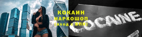 стафф Осташков