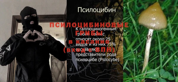 бутират Алзамай