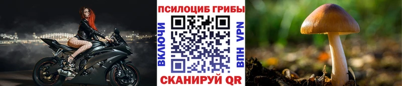 Псилоцибиновые грибы мицелий omg сайт Берёзовский